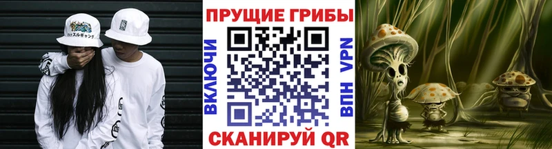 kraken ONION  Дыгулыбгей  Псилоцибиновые грибы MAGIC MUSHROOMS  что такое  
